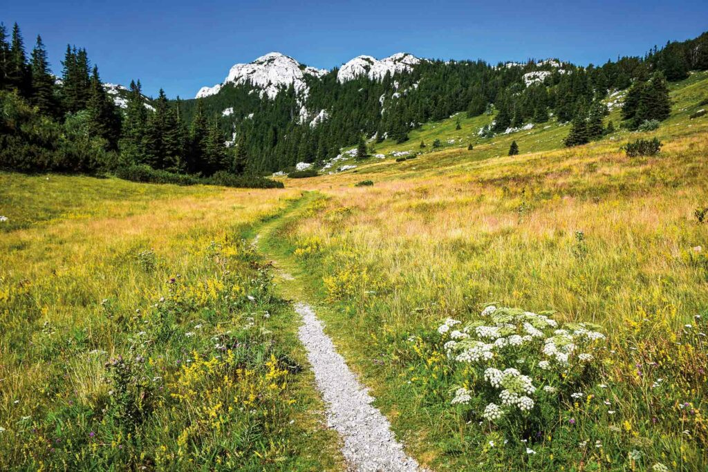 premužićeva staza sjeverni velebit