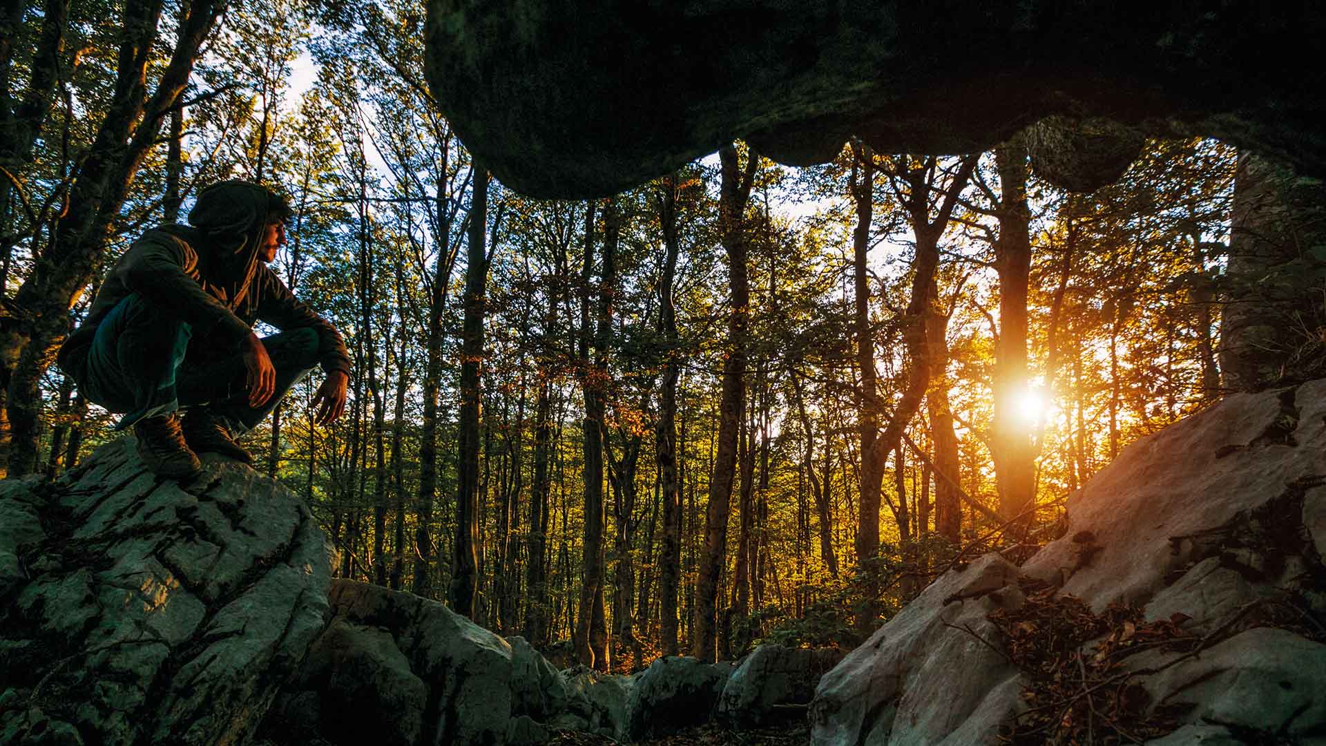 bukova šuma nacionalni park sjeverni velebit