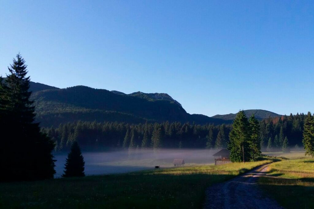 nacionalni park risnjak šume